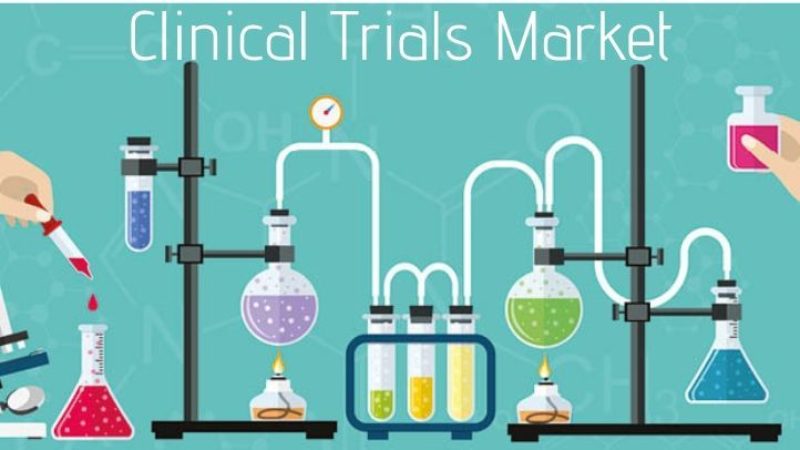 Search assignment successfully completed: Segment Manager for Clinical Trial Markets